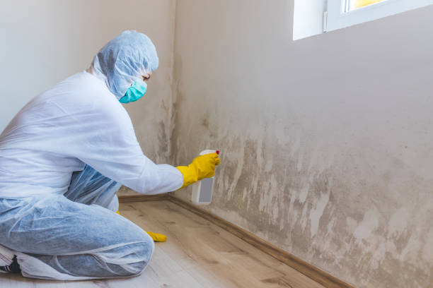 Mold Remediation specialist working in Lawnside